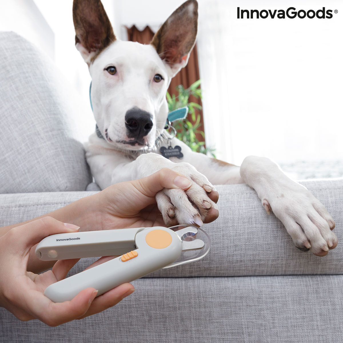 Pet Nail Clippers with LED Clipet InnovaGoods