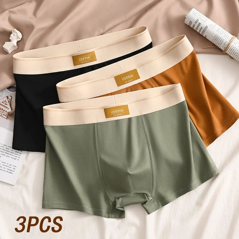 3pcs Men Underwear Cotton BoxerShorts Hombre Panties Man Breathable