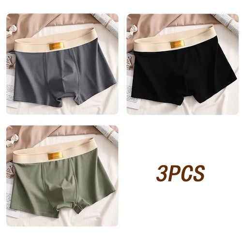 3pcs Men Underwear Cotton BoxerShorts Hombre Panties Man Breathable