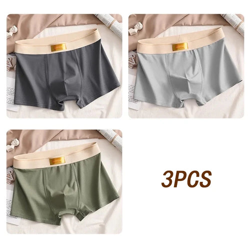 3pcs Men Underwear Cotton BoxerShorts Hombre Panties Man Breathable