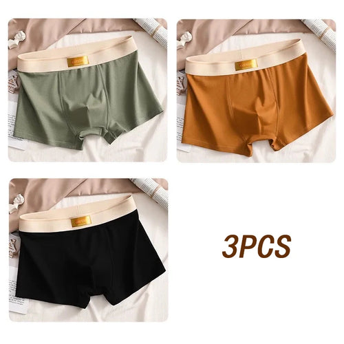 3pcs Men Underwear Cotton BoxerShorts Hombre Panties Man Breathable