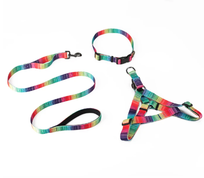 Matching Leash & collars Set